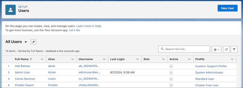 The enhanced user list view provides various options to edit and modify records.