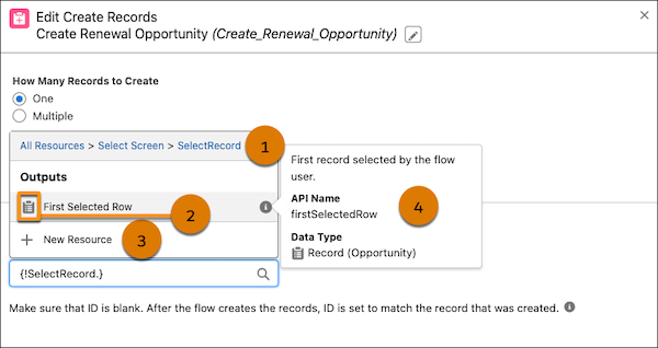 Create Records element open showing new features when selecting a resource