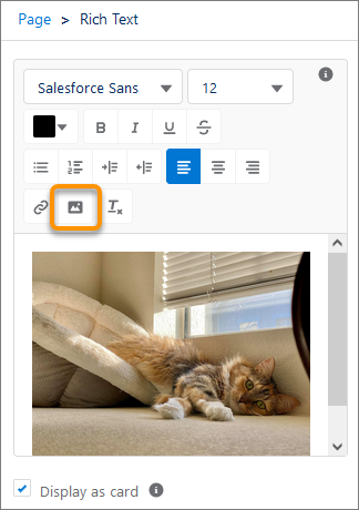 Rich text editor in the Lightning App Builder