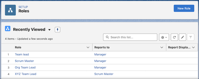 Roles setup page showing the enhanced role list views