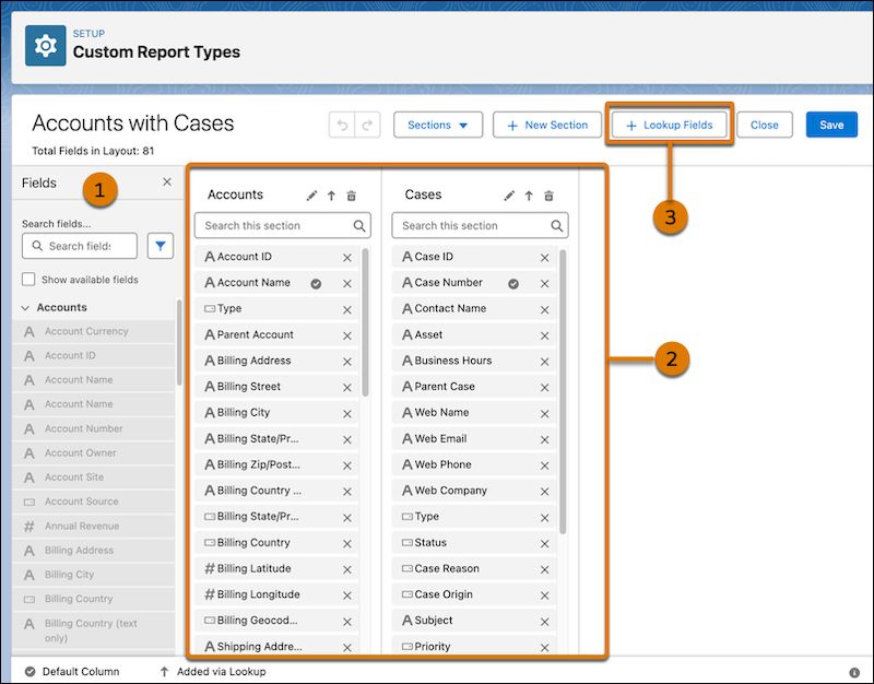 Enhanced Report Type Layout editor with numbered sections