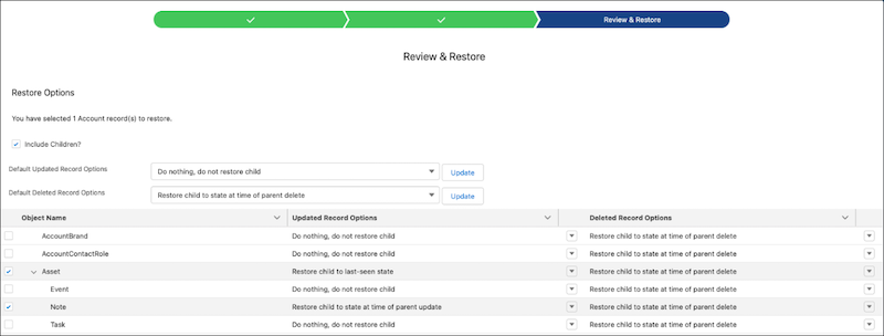 The Review and Restore page showing records selected for restoration and child record settings