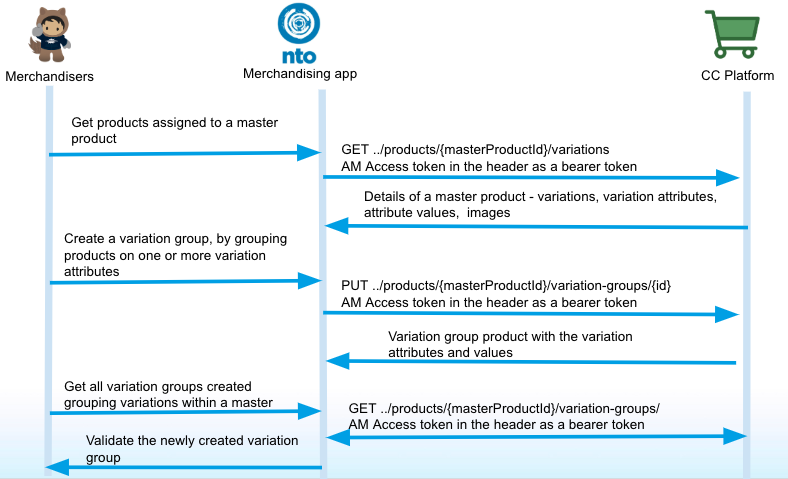 Test B2C-Commerce-Developer Pattern